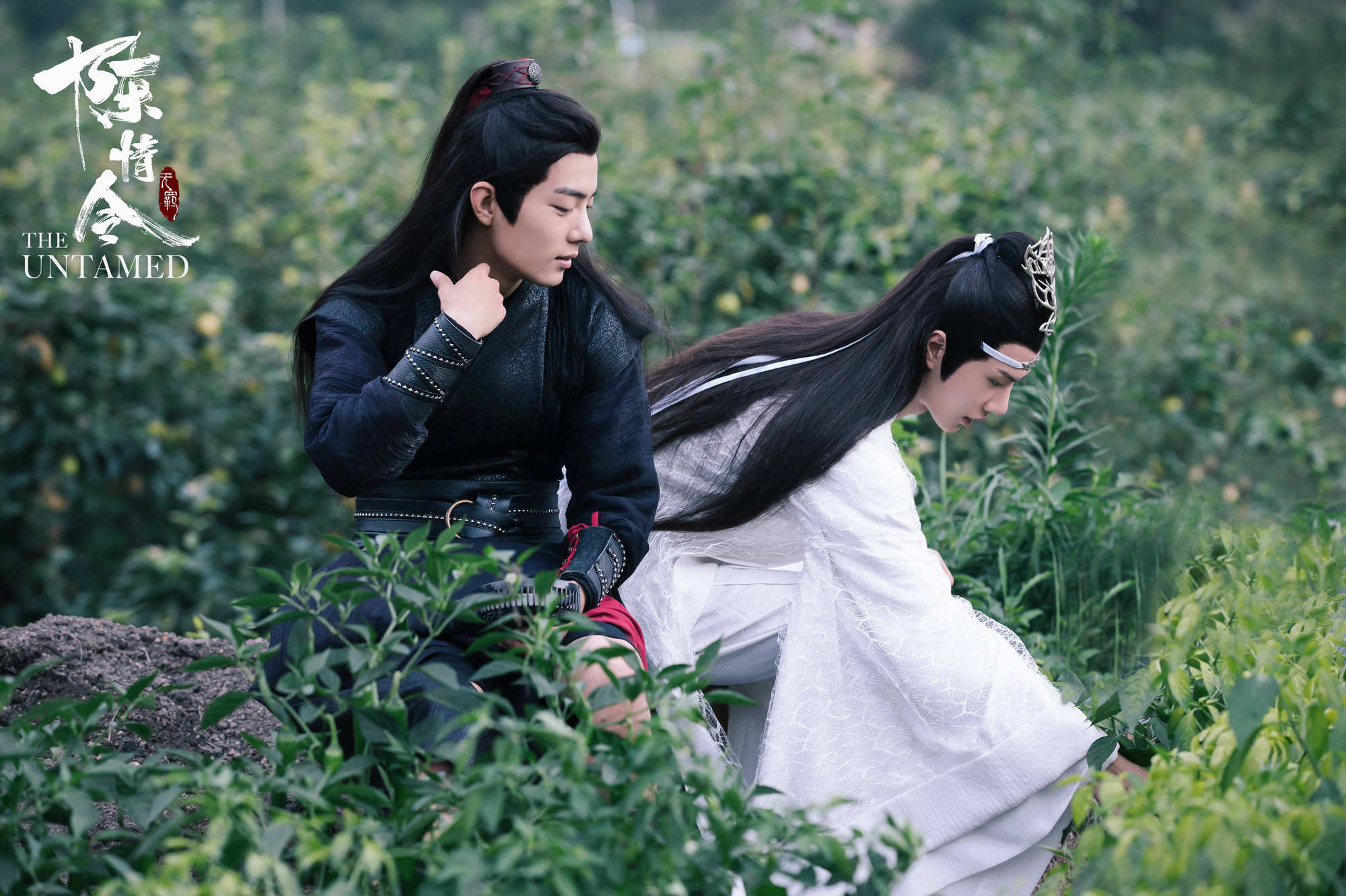 铁石心肠2019 第34集-电视剧-高清视频在线观看-芒果tv