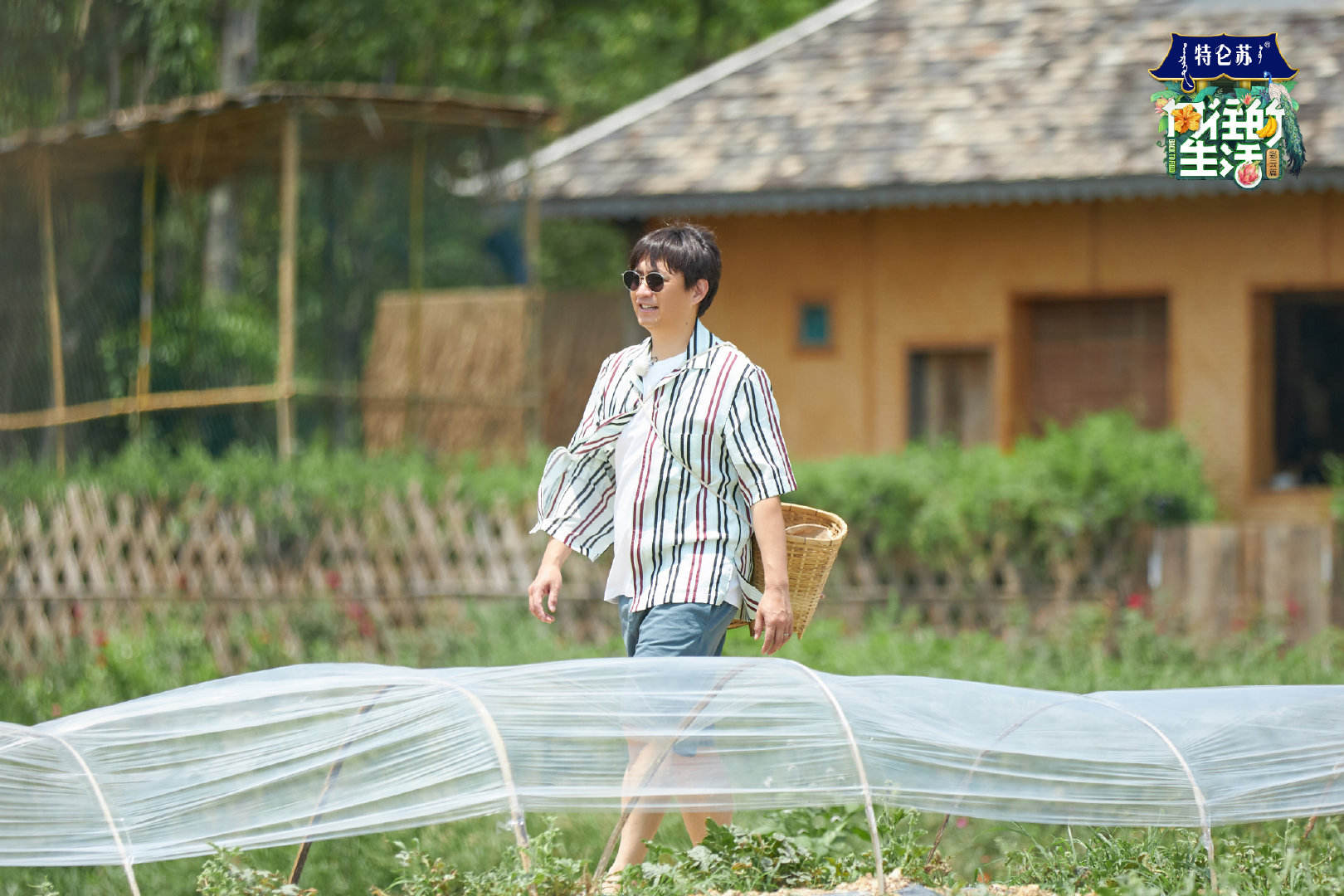 向往的生活第四季第6期谭松韵吐槽彭昱畅结婚太难许魏洲任嘉伦合体