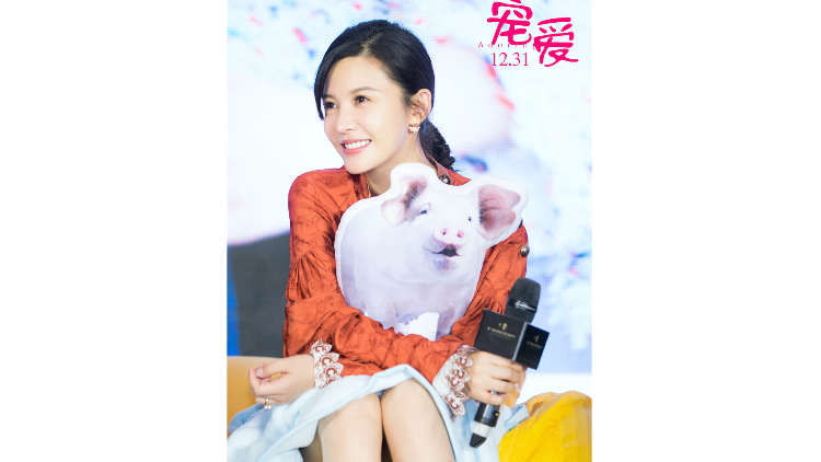 《宠爱》曝新预告,杨子姗和小猪"争夺"钟汉良宠爱