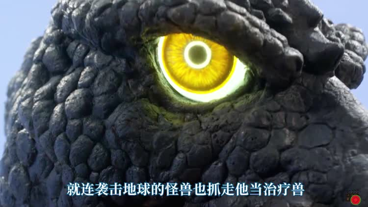 男孩捡到一只小怪兽,它拥有强大的治愈能力 男孩捡到一只小怪兽,它拥有强大的治愈能力