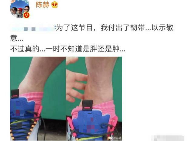 陈赫录节目韧带拉伤,脚腕肿成两倍粗,坐轮椅还要七个人护着