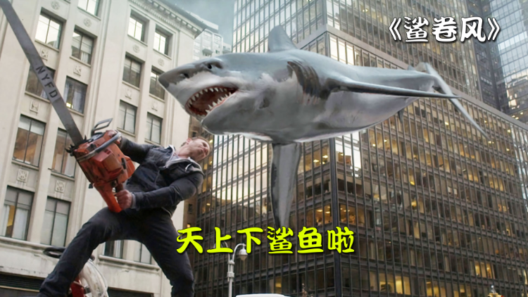 鲨鱼城市高清视频在线观看芒果tv