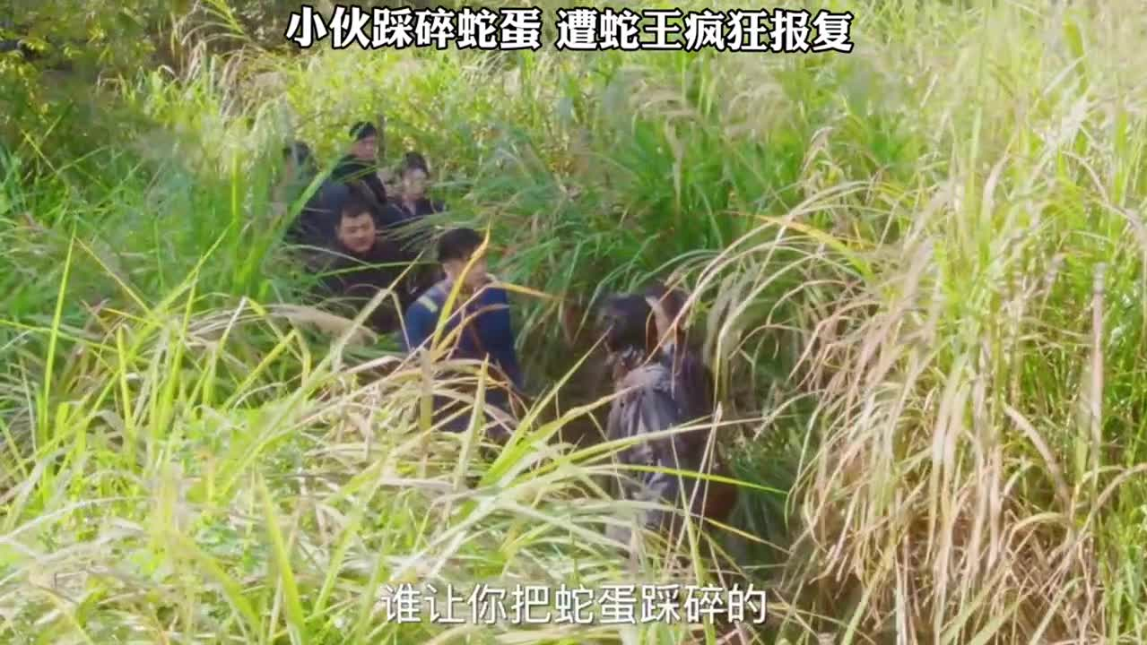 蛇蛋-高清视频在线观看-芒果tv