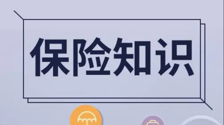 保险知识普及