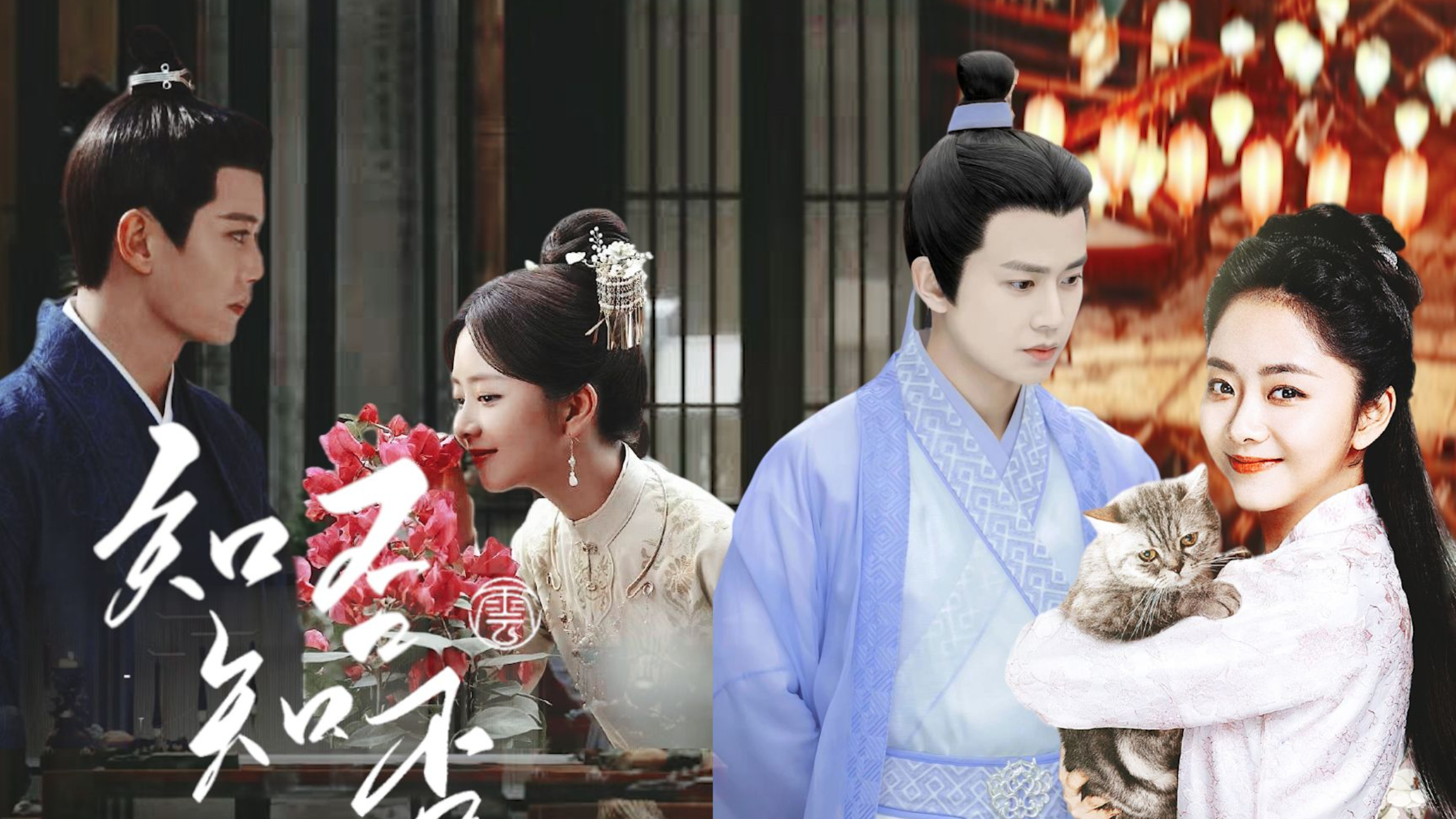 陆瑶知马力高清视频在线观看芒果tv