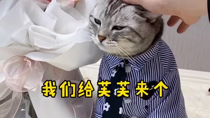 泡芙安生官宣啦!在大家的见证下这一辈子只对你芙软