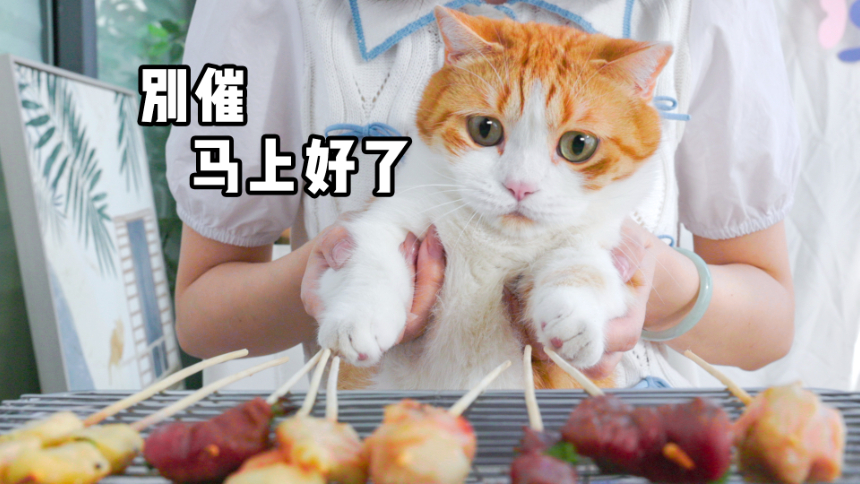 猫：别催，马上烤好了