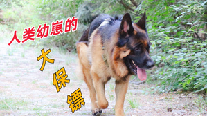 大德牧带娃，主打安静