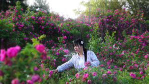 玫瑰花开，来一桌鲜花宴
