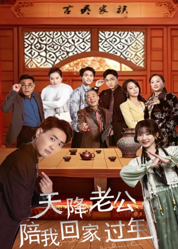 天降老公陪我回家过年