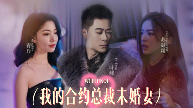 我的合约总裁未婚妻