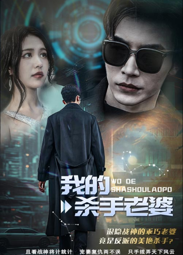 我的杀手老婆