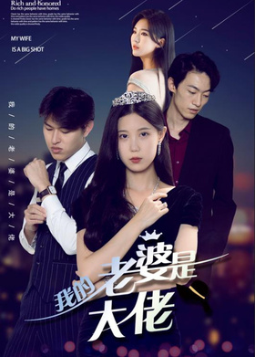 我的老婆是大佬