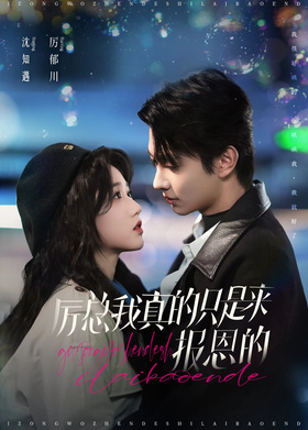 厉总我真的只是来报恩的