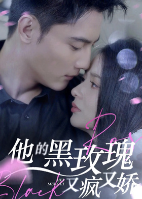他的黑玫瑰又疯又娇