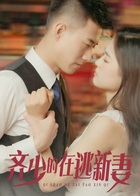 齐少的在逃新妻