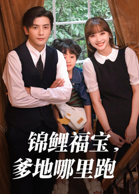 锦鲤福宝，爹地哪里跑