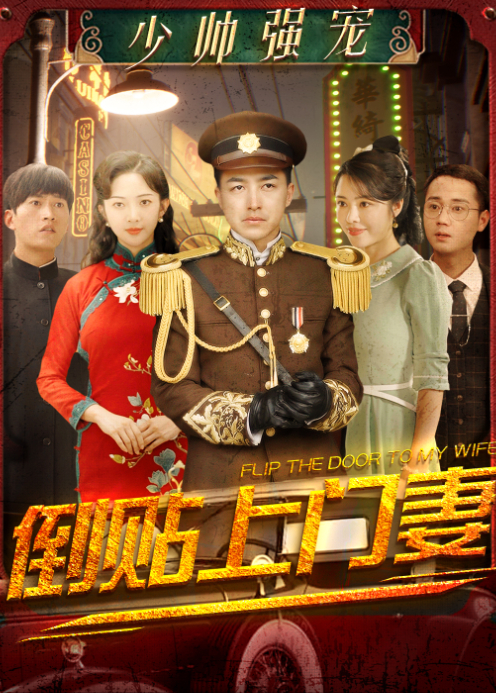 少帅强宠倒贴上门妻