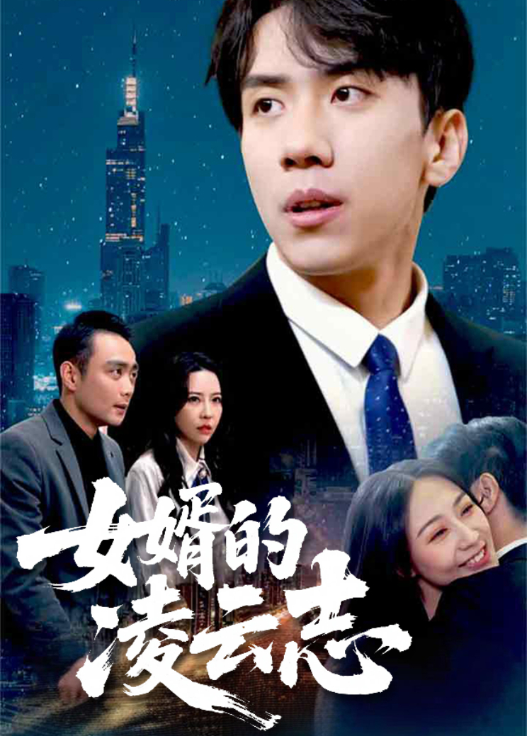 女婿的凌云志