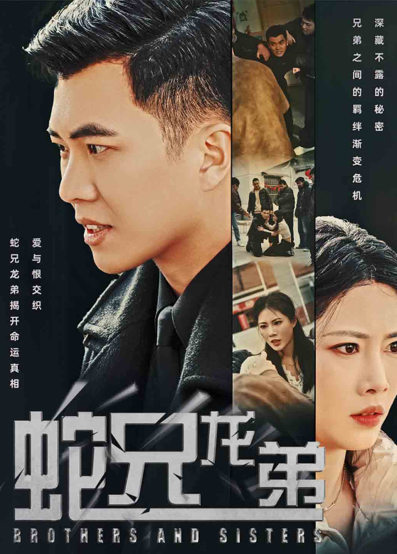 蛇兄龙弟