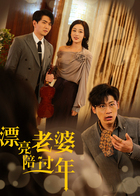 漂亮老婆陪过年