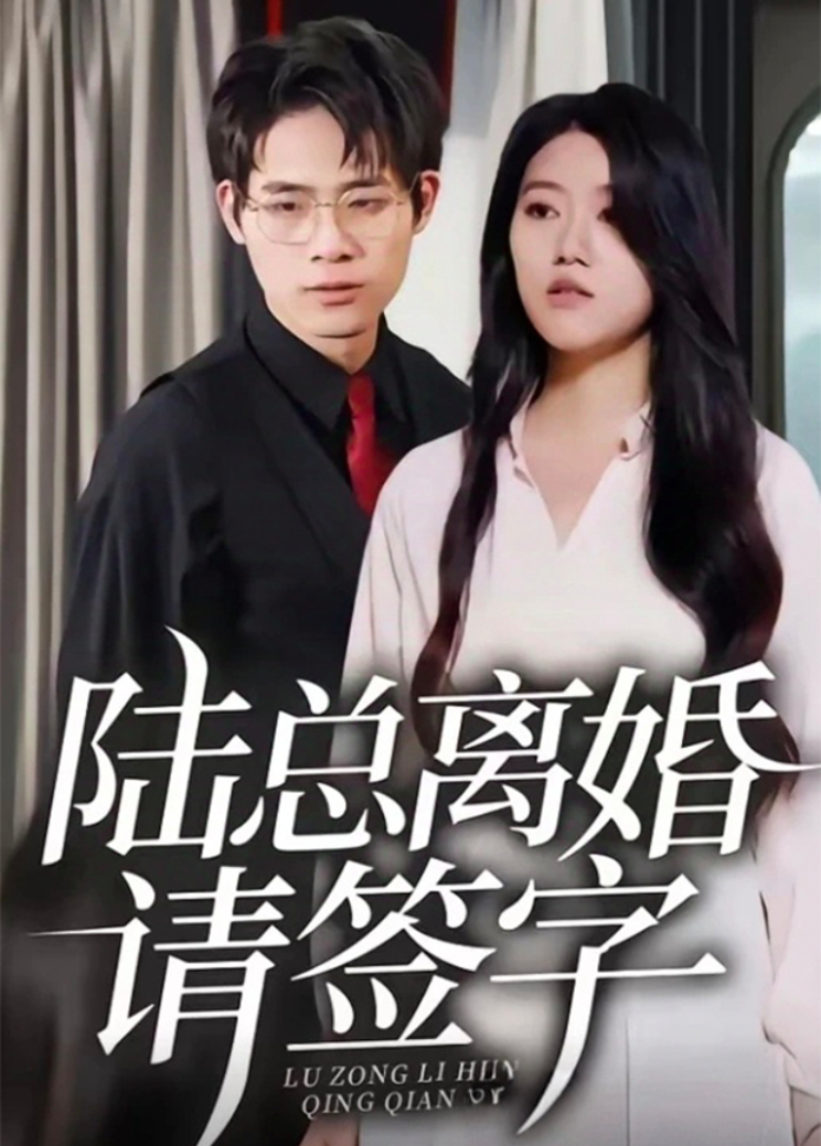 陆总离婚请签字}