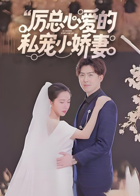 厉总心爱的私宠小娇妻