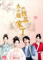 大小姐的极品家丁