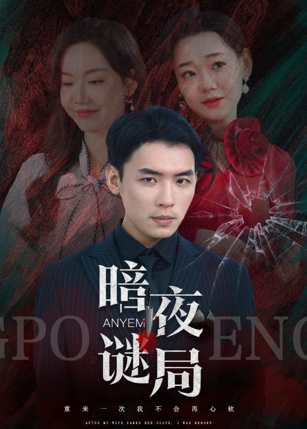 暗夜谜局封面图