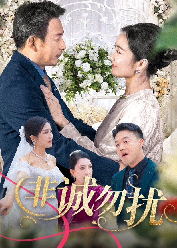 非诚勿扰封面图