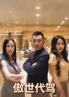 傲世代驾