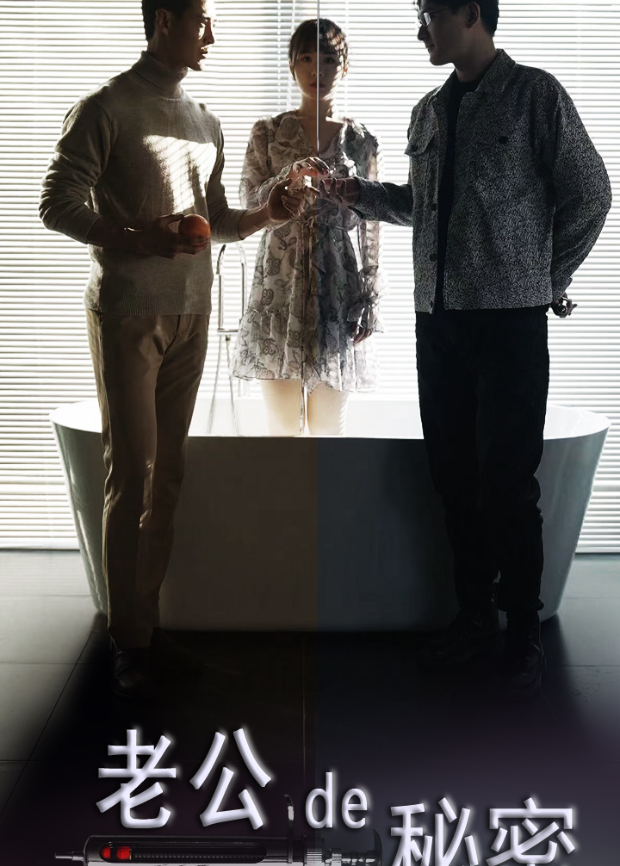 老公的秘密封面图