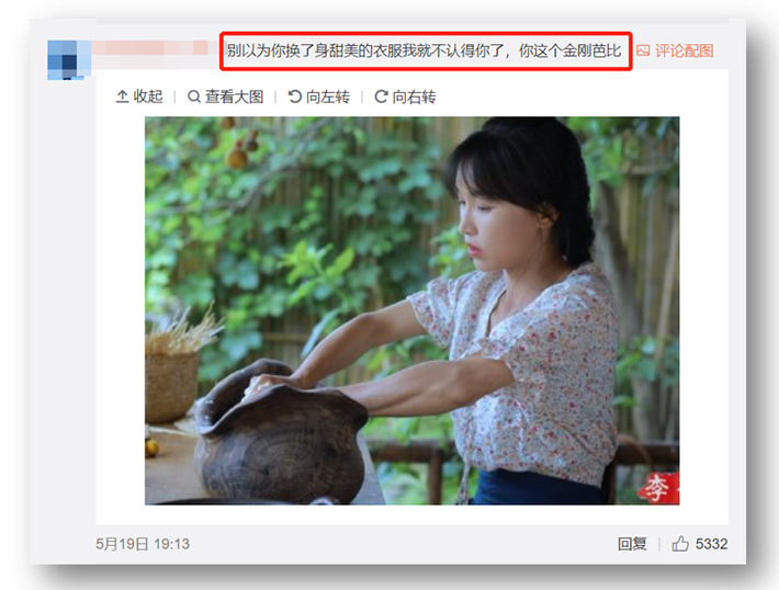 李子柒真实颜值被助理曝光:爆红的她,让我越想越后怕