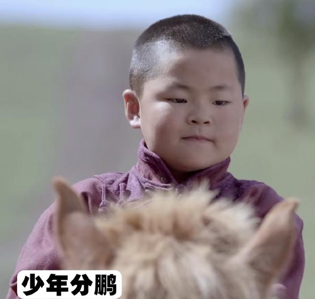 少年分鹏简直像极了用特效还原岳云鹏小时候,尤其是小家伙穿了这身